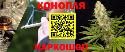 мяу мяу мука Пенза
