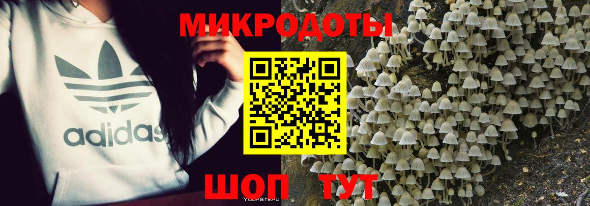 Псилоцибиновые грибы ЛСД  Вход с VPN  Сатка  Галлюциногенные грибы мухоморы 